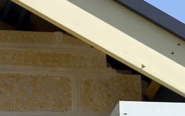 soffit repair Carlingcott